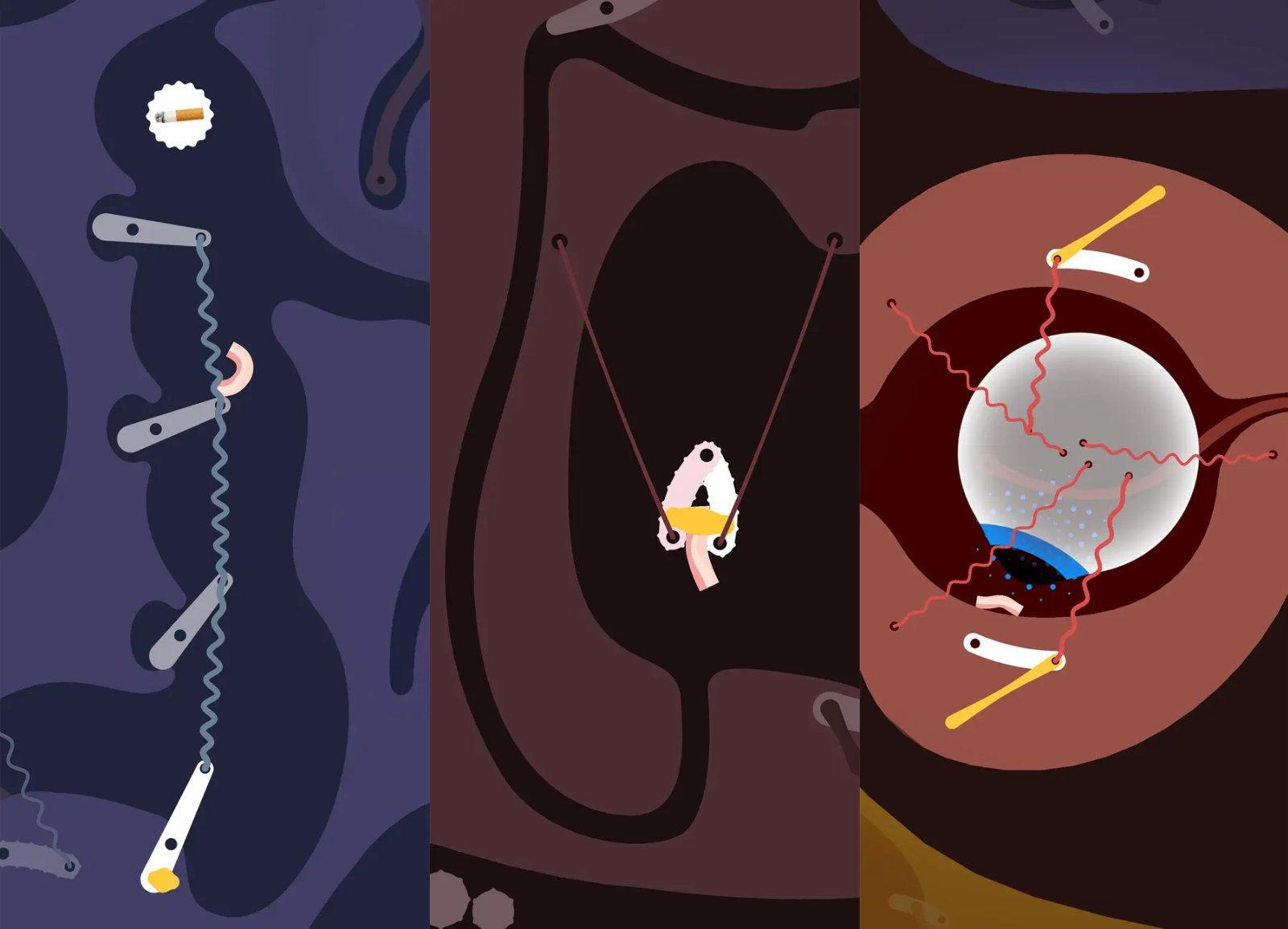 bacon in zane capture jeu ipa iphone