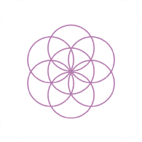 FlowBuilder Yoga : une app pensée pour l’écosystème Apple