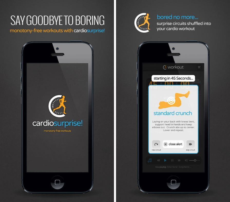 cardiosurprise ipa cardiosurprise ipa