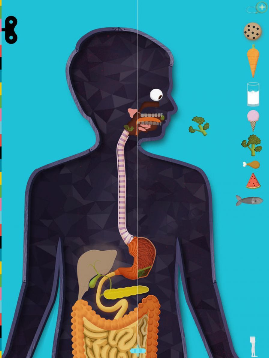 le-corps-humain le-corps-humain