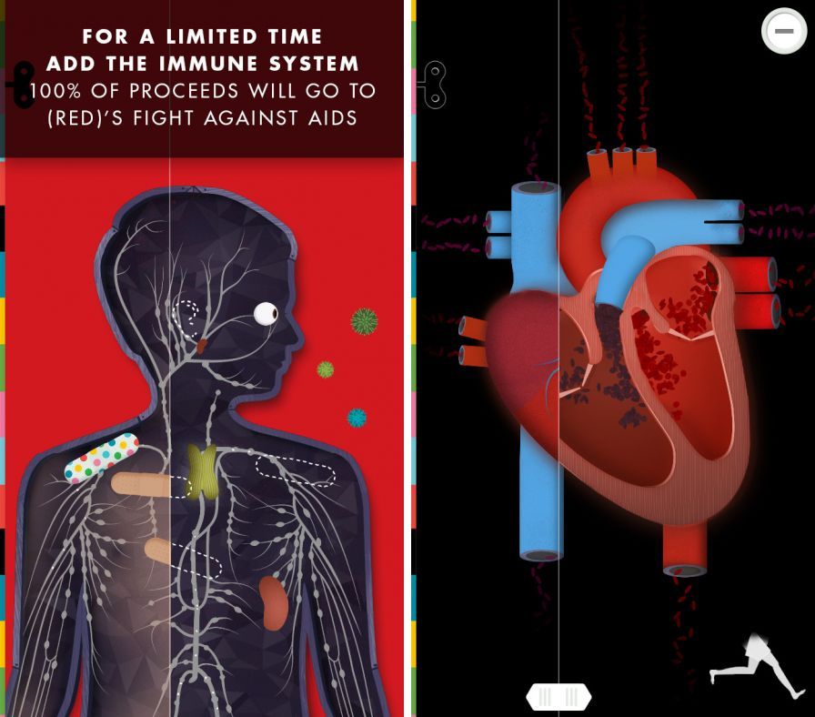 le-corps-humain ipa le-corps-humain ipa