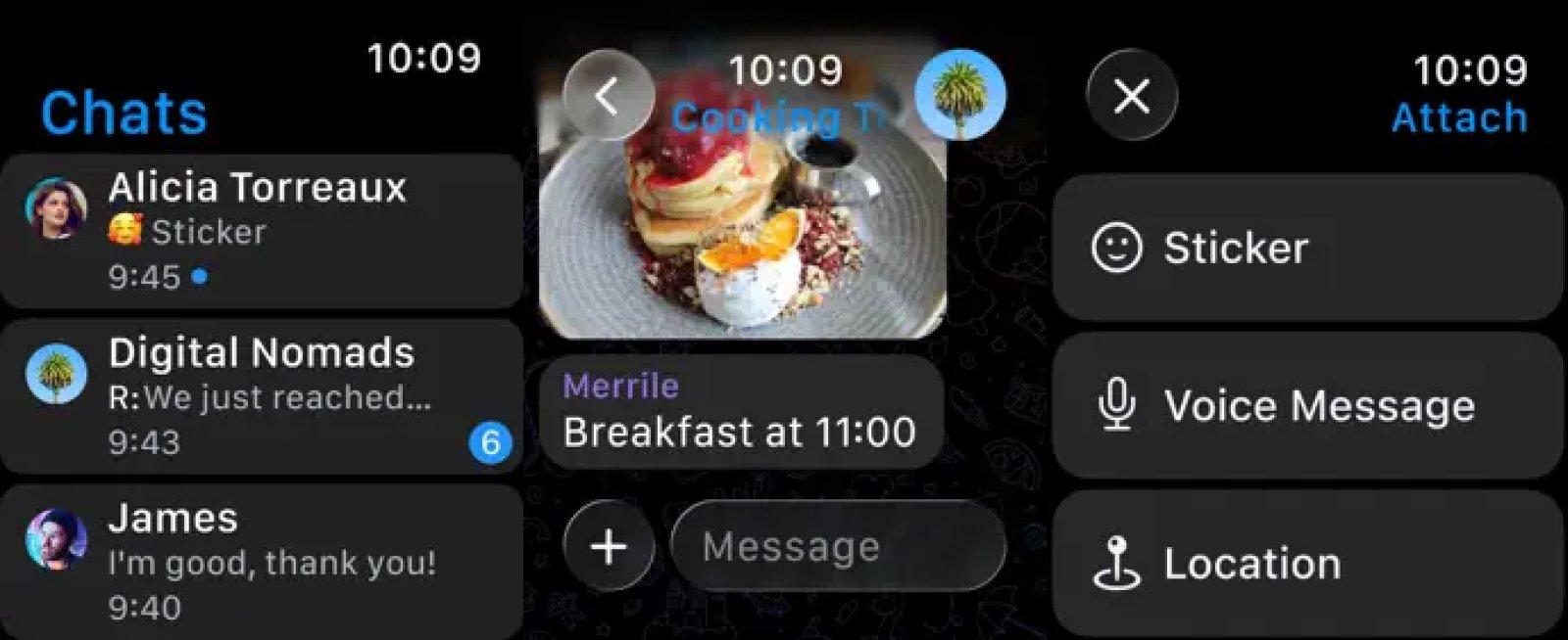 telegram messenger capture app ipa watch