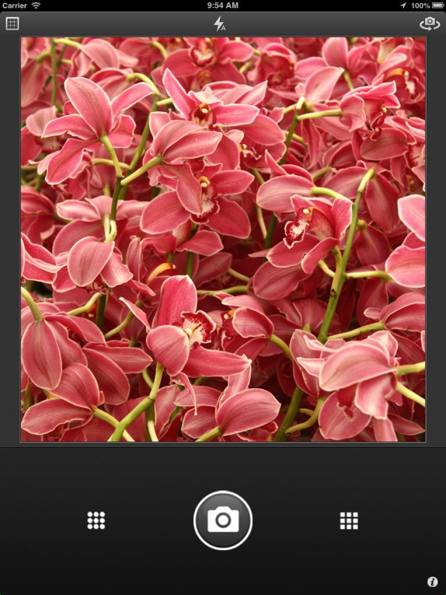 inside-of-a-bubble ipa inside-of-a-bubble ipa