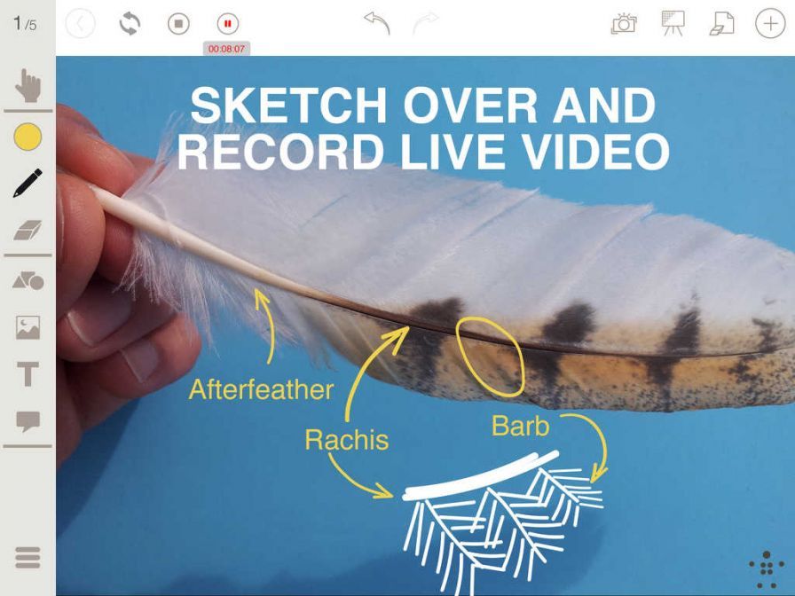 stage-pro-interactive-whiteboa ipa stage-pro-interactive-whiteboa ipa