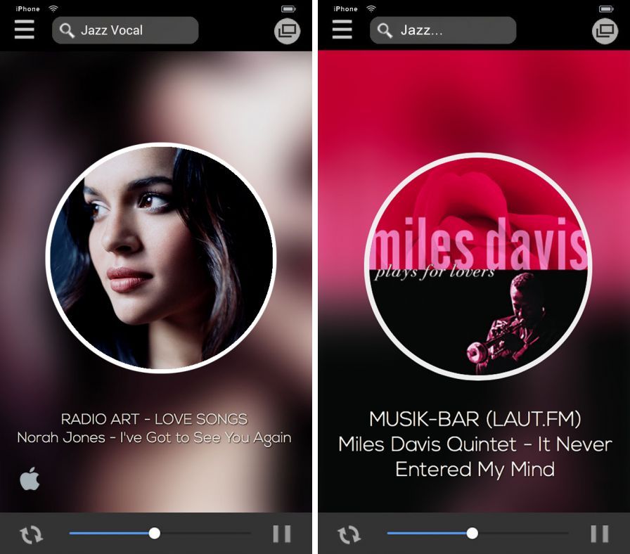 city-jazz ipa city-jazz ipa