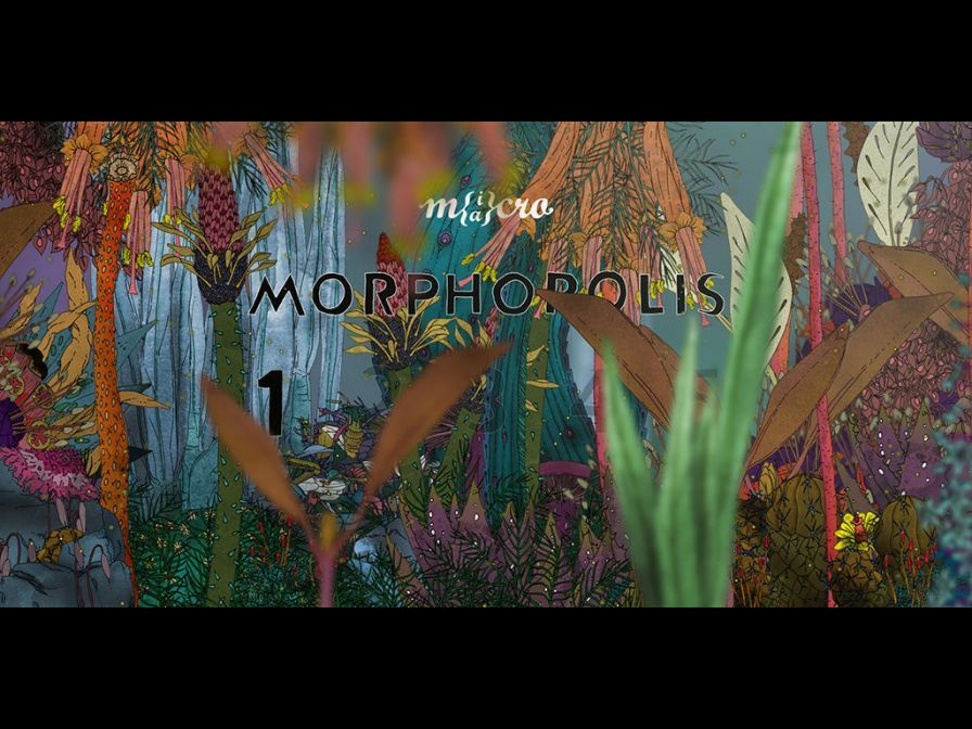 morphopolis ipa