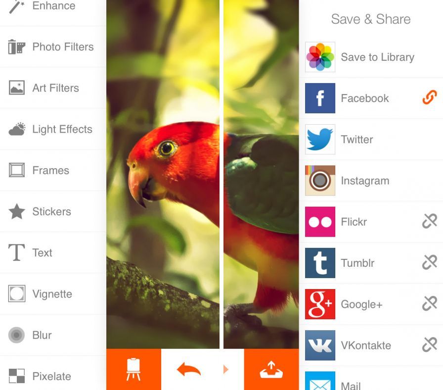 phoenix-photo-e phoenix-photo-e
