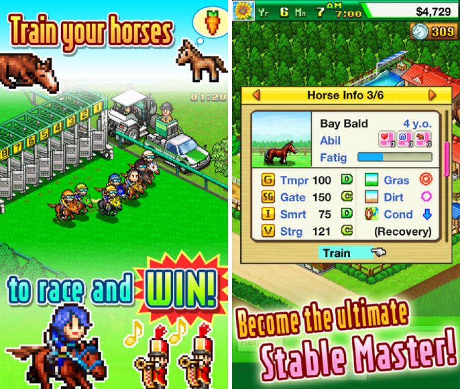 pocket-stables pocket-stables