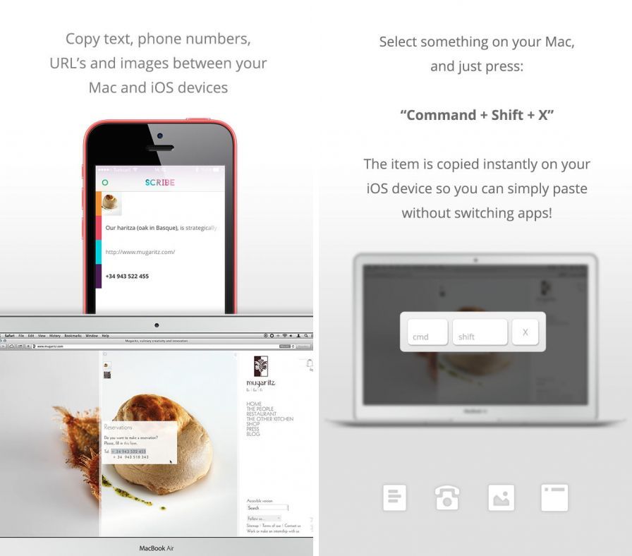 scribe-copy-anything-from-your ipa scribe-copy-anything-from-your ipa