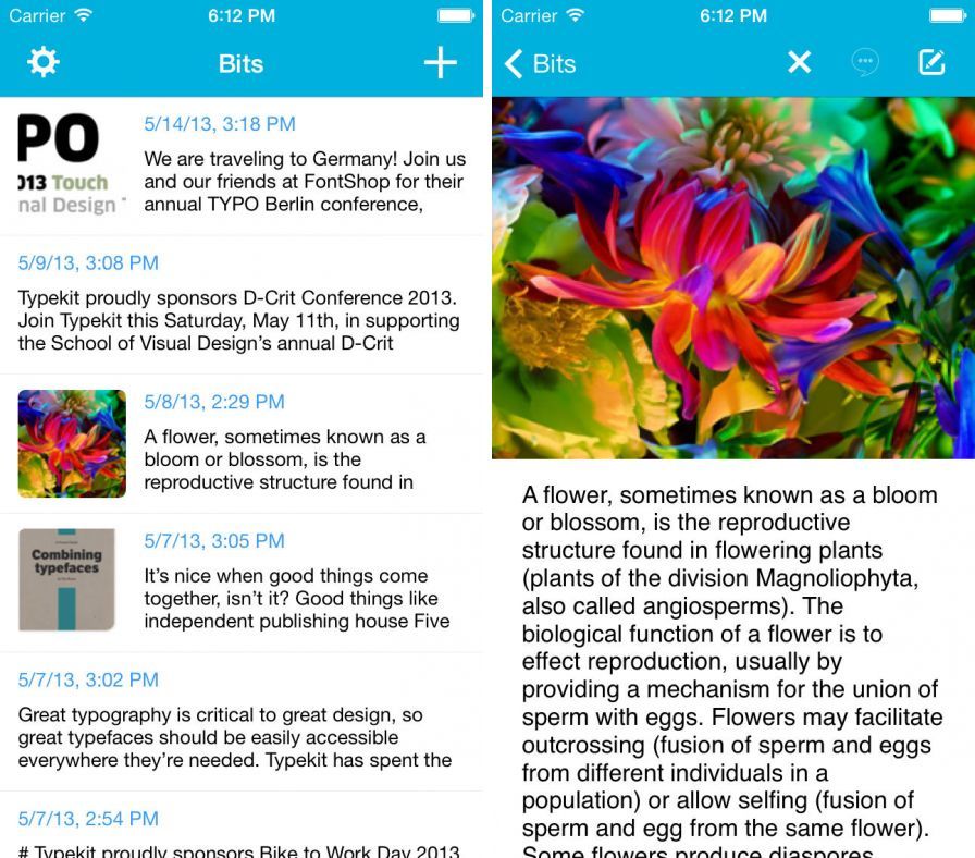 bits-diary ipa bits-diary ipa