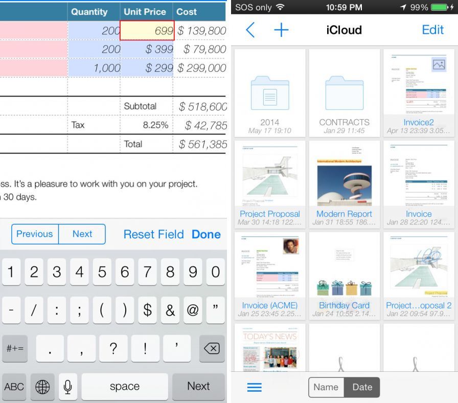 form-expert-professional-pdf-f ipa