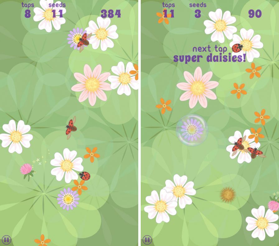 daisypop ipa daisypop ipa