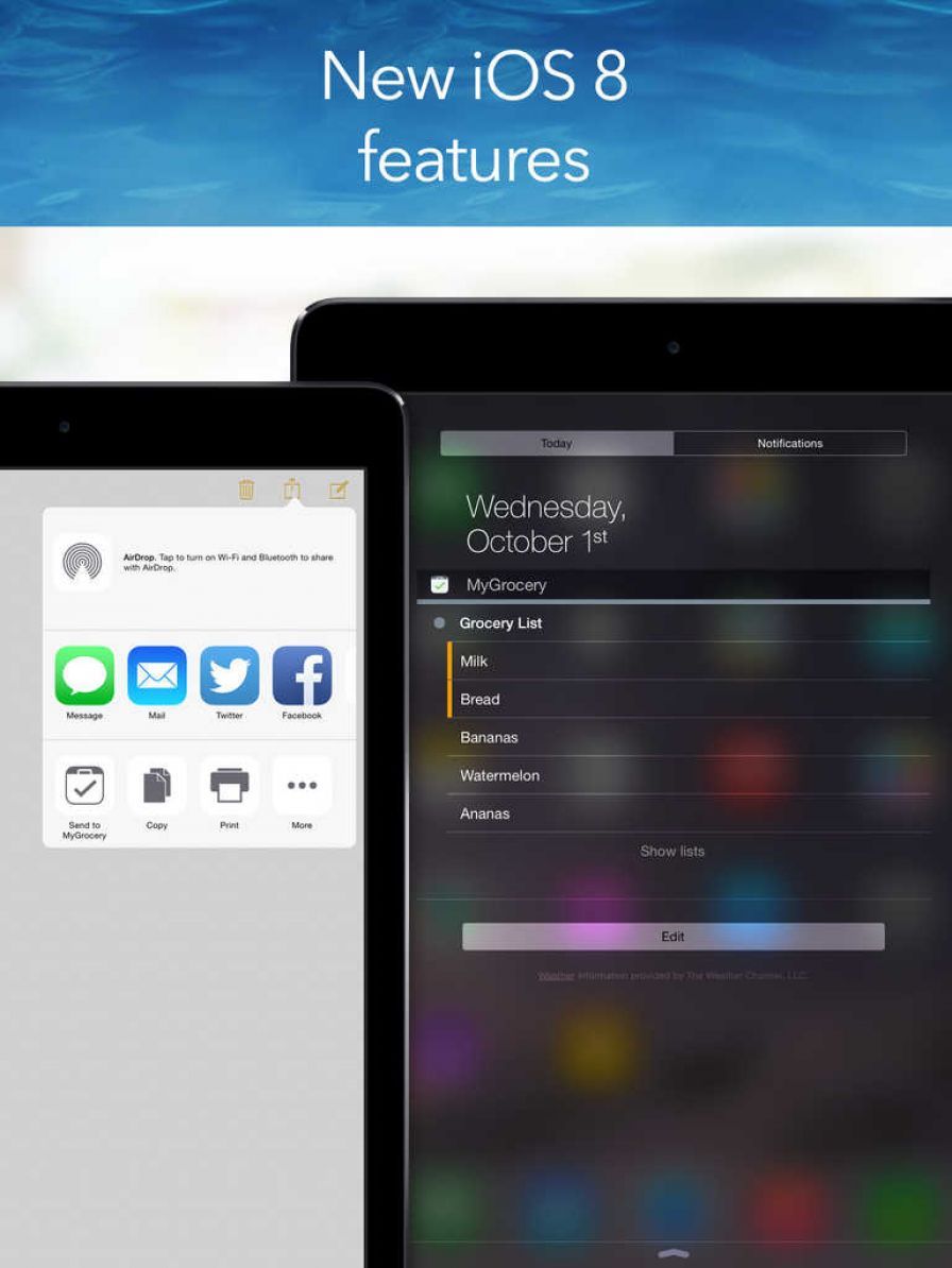 mygrocery-shopping-notes-and-t ipa