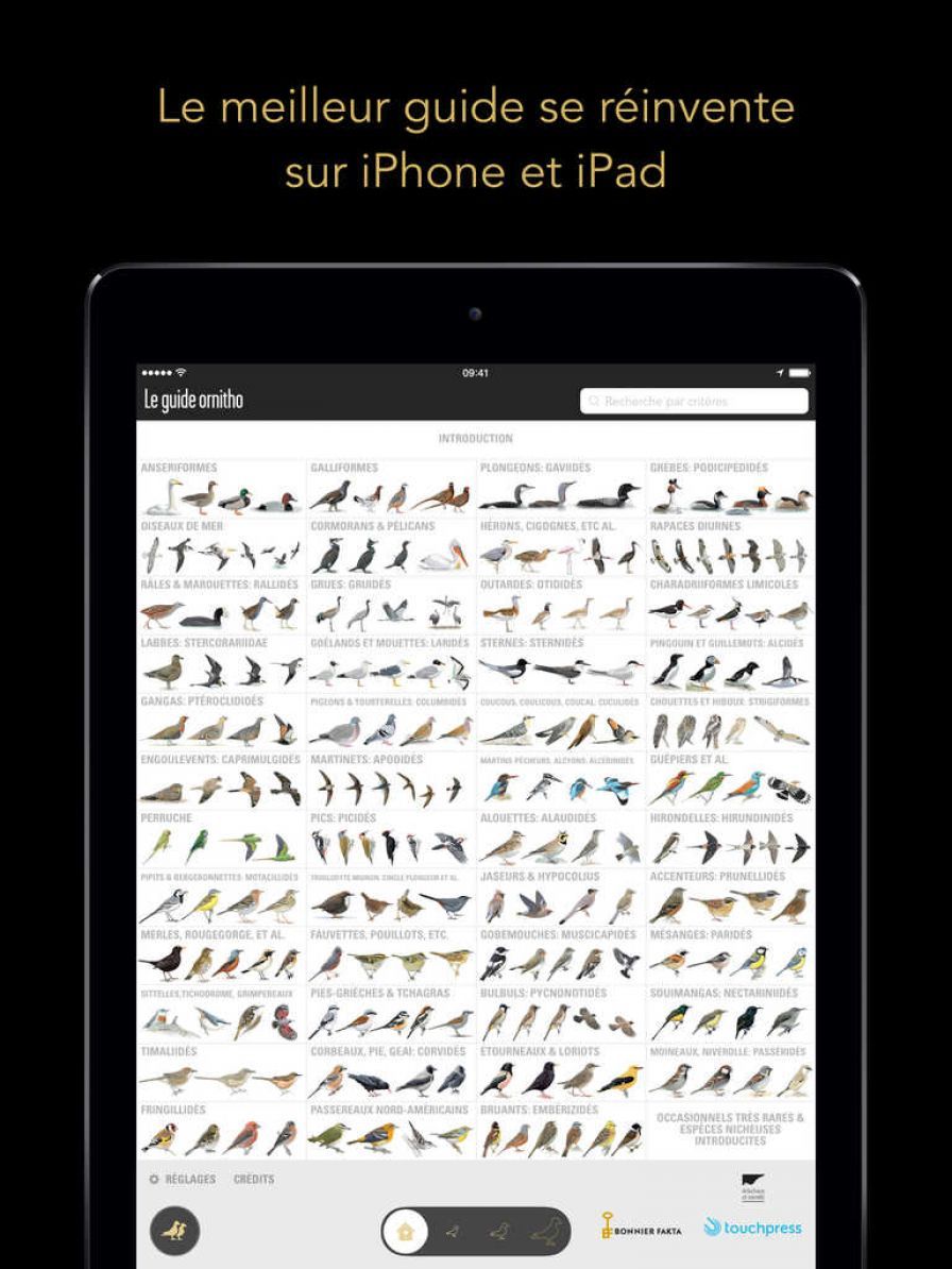 le-guide-ornitho-ae-le-guide-l ipa