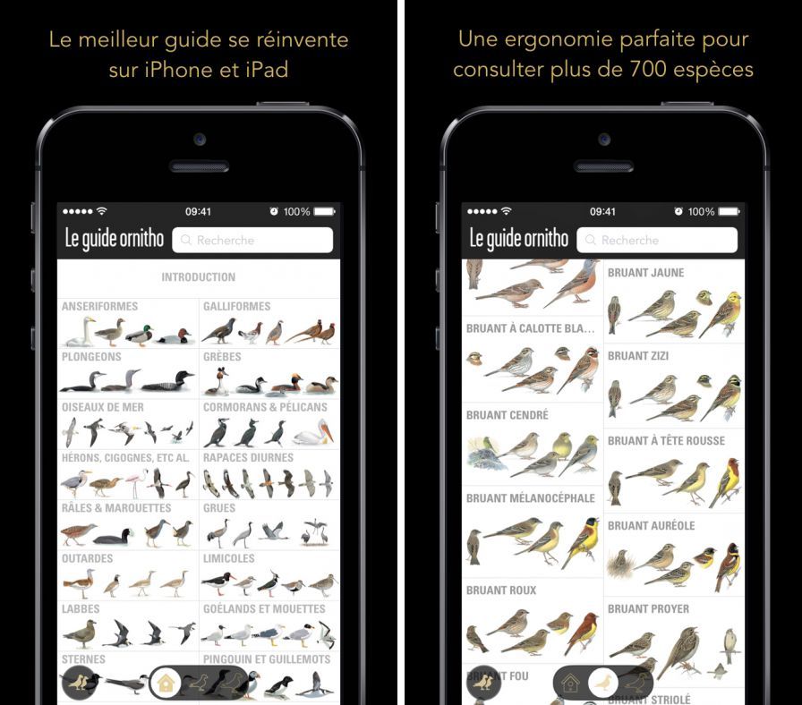 le-guide-ornitho-ae-le-guide-l ipa le-guide-ornitho-ae-le-guide-l ipa