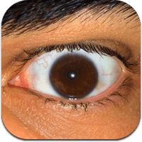 a-life-worth-dying-for ipa iphone ipad a-life-worth-dying-for ipa iphone ipad