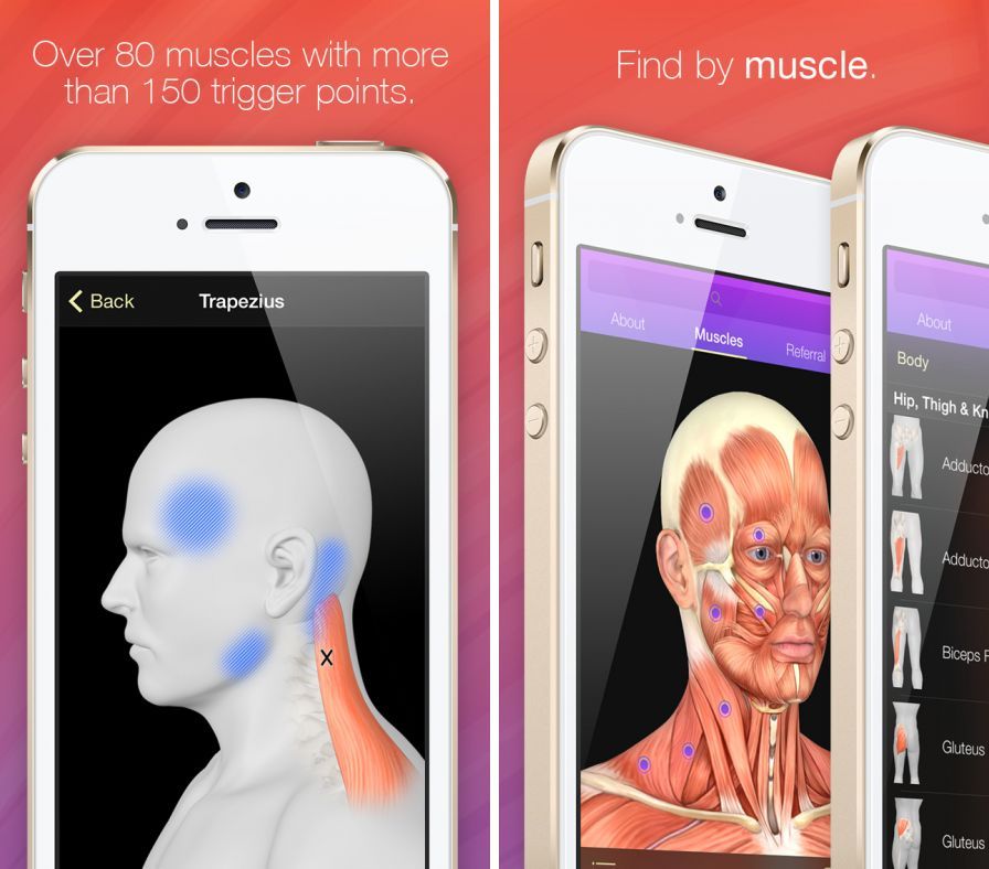 trigger-points-guide-reference ipa iphone