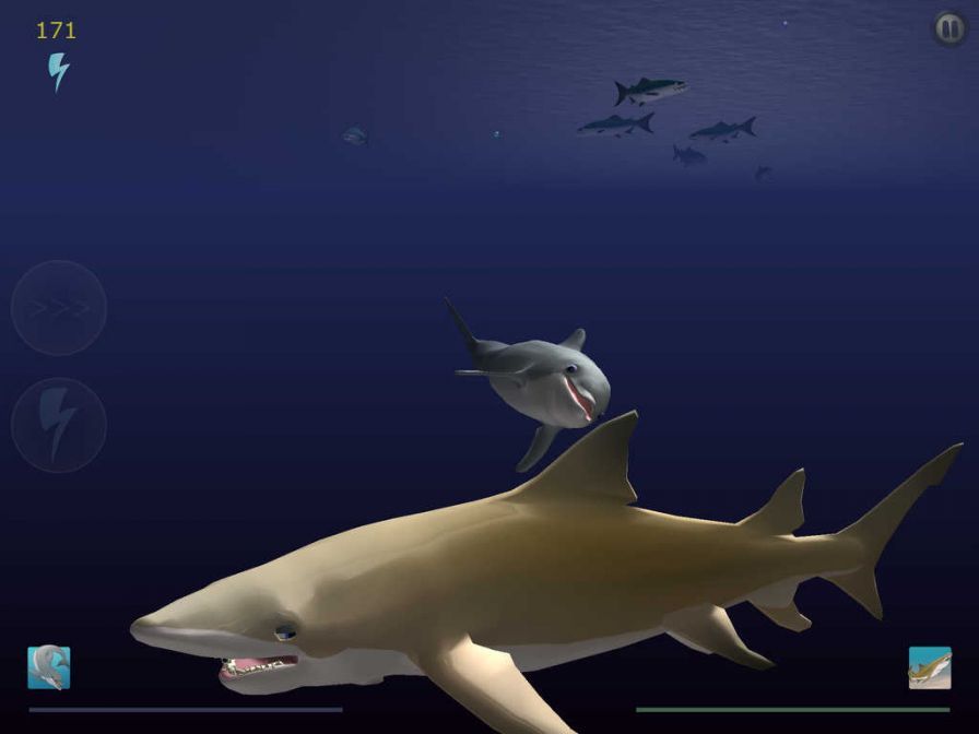 shark-eaters-rise-of-the-dolph ipa shark-eaters-rise-of-the-dolph ipa