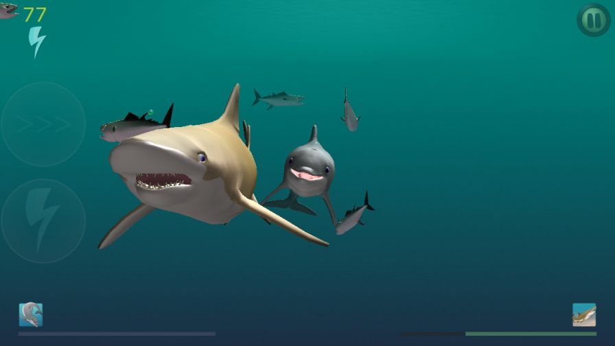shark-eaters-rise-of-the-dolph ipa shark-eaters-rise-of-the-dolph ipa