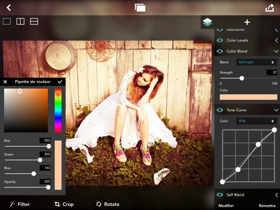 fdesign-design-your-own-photo- ipa fdesign-design-your-own-photo- ipa