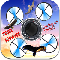 Dji dévoile Inspire 1, un drone de pro à 3 000 €