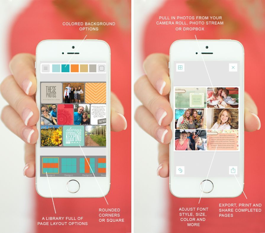 project-life ipa project-life ipa