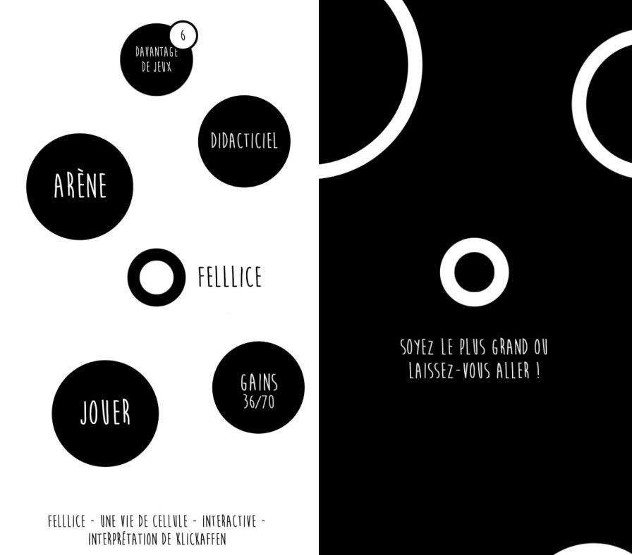 felllice ipa felllice ipa