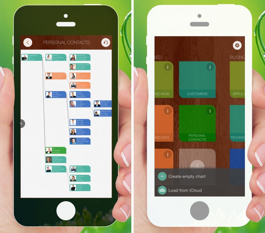 orgchart-organization-chart-an ipa orgchart-organization-chart-an ipa