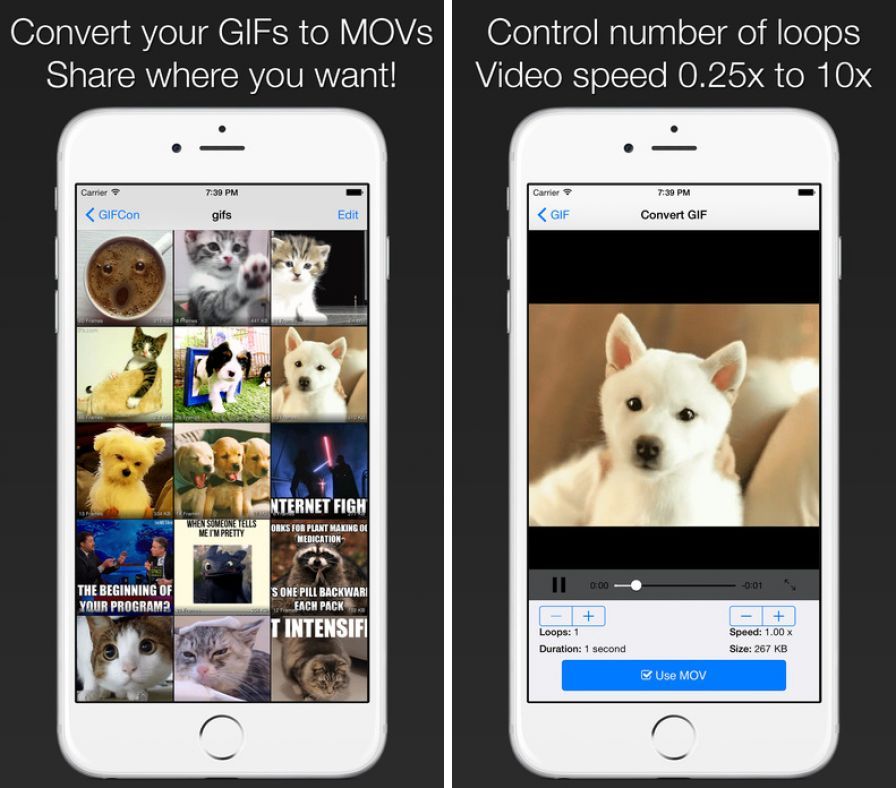 gifcon-create-shareable-videos ipa