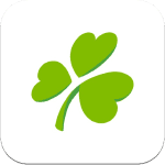aer lingus icon