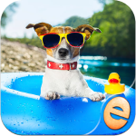 jigsaw-puppies-wonder-pour-enf ipa ipad iphone jigsaw-puppies-wonder-pour-enf ipa ipad iphone