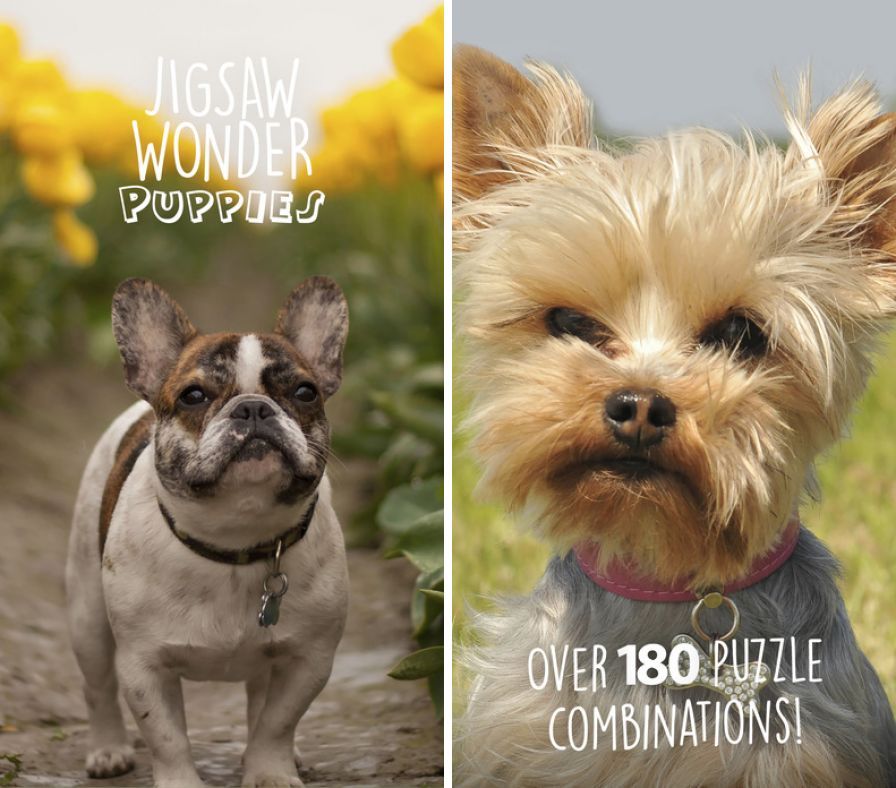 jigsaw-puppies-wonder-pour-enf ipa