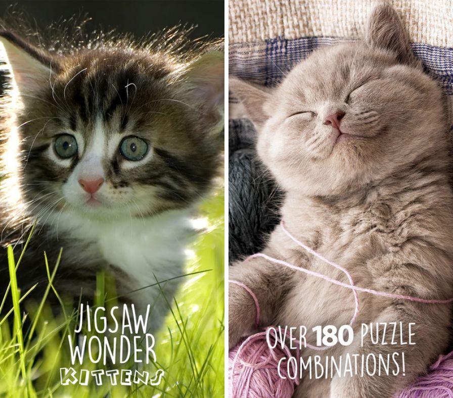 kittens-jigsaw-wonder-puzzles- ipa kittens-jigsaw-wonder-puzzles- ipa