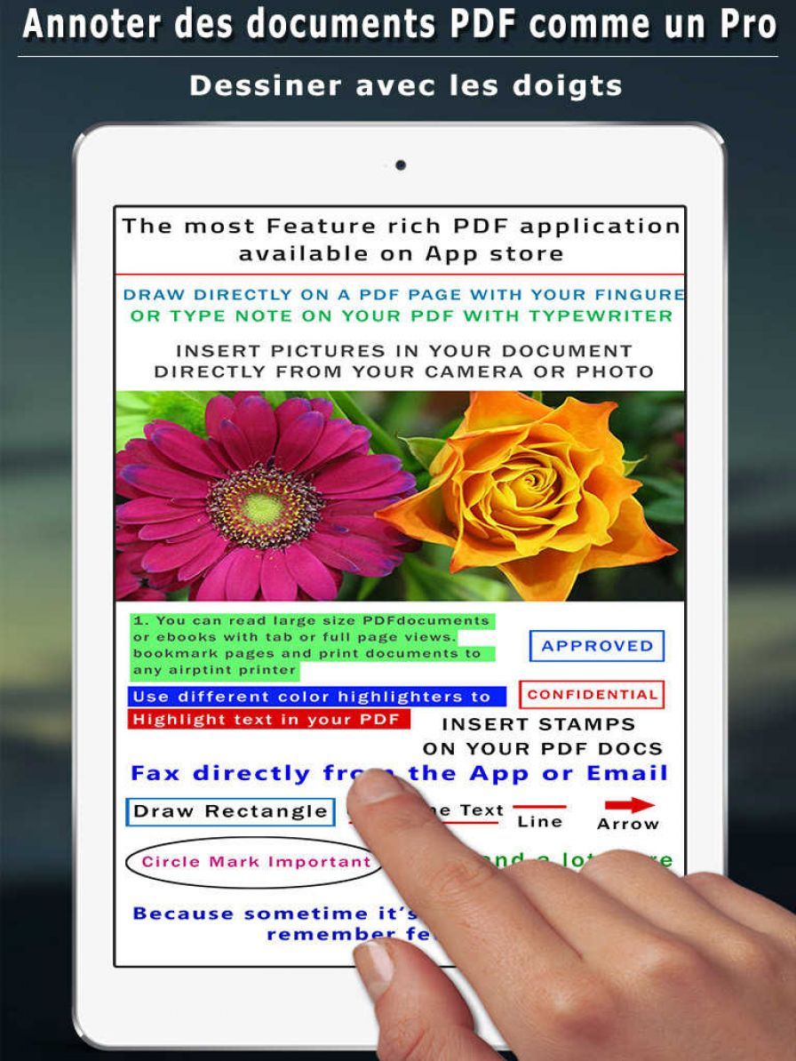 notes-pro-pdf-notes-et-documen ipa notes-pro-pdf-notes-et-documen ipa