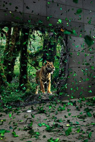 Fond écran pour iPhone City